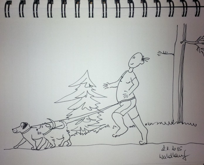 IMG_20151122_151011_edit