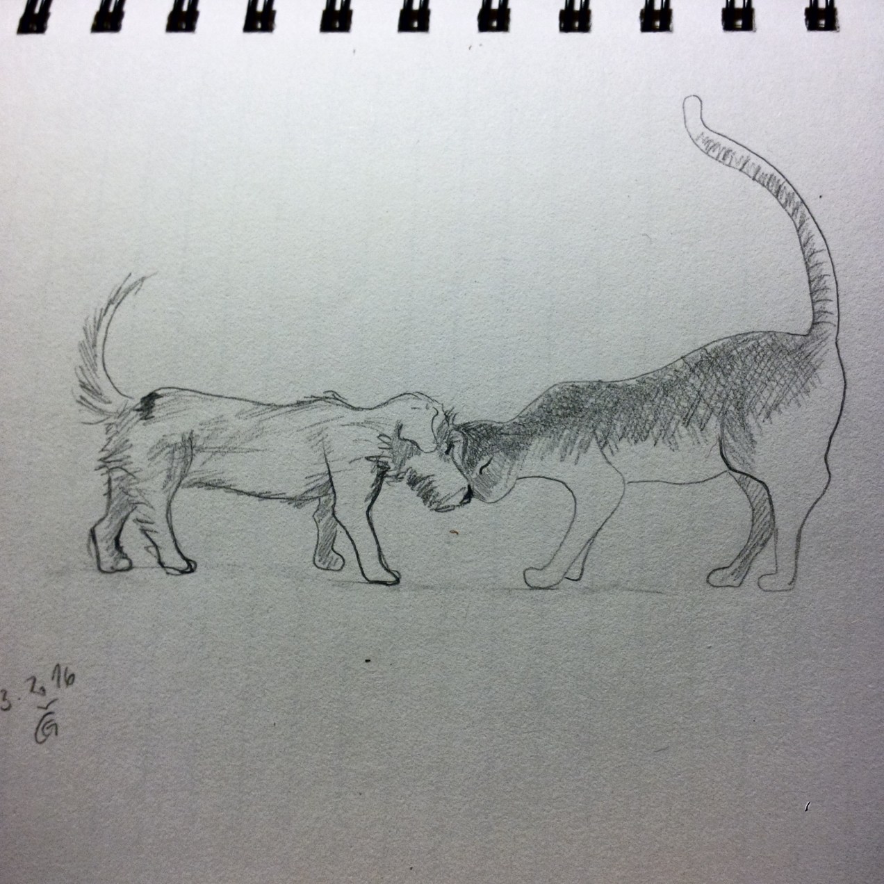 IMG_20160313_195008_edit