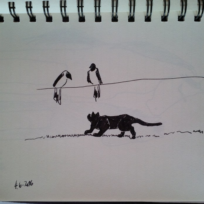 IMG_20160607_063520_edit