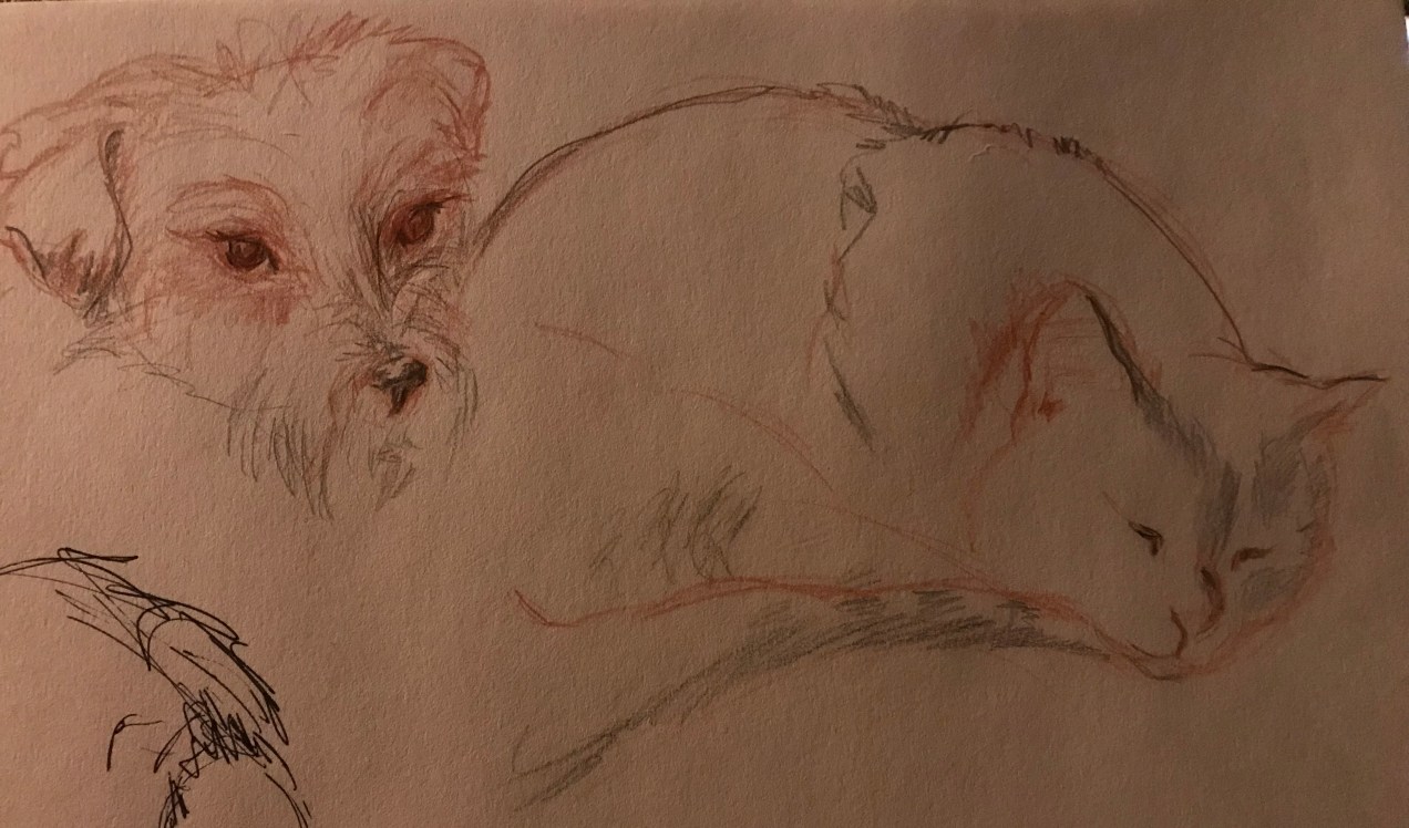 27040F4B-5DCB-402E-906E-E82EAB438384