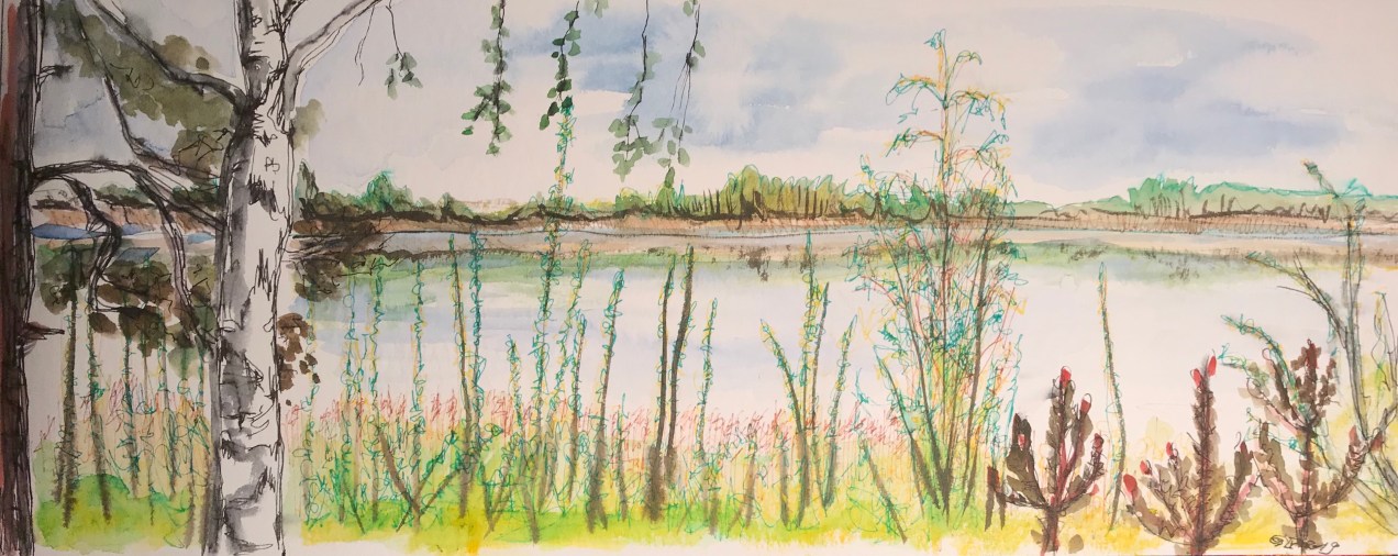 462C790B-4C50-403E-8190-DC90A735DCCD