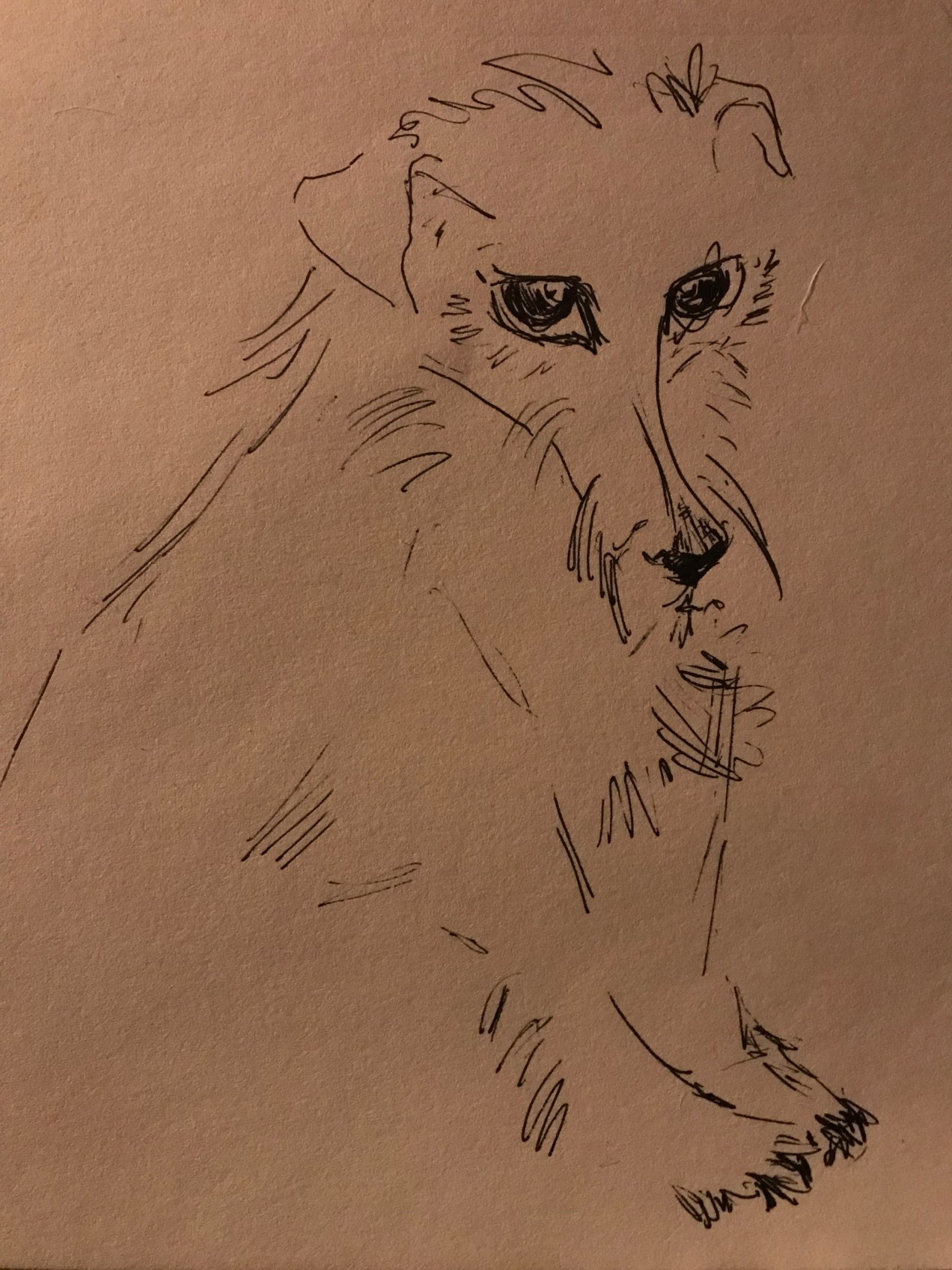 58798063-8554-4C4D-9378-FE118EDA7B8E