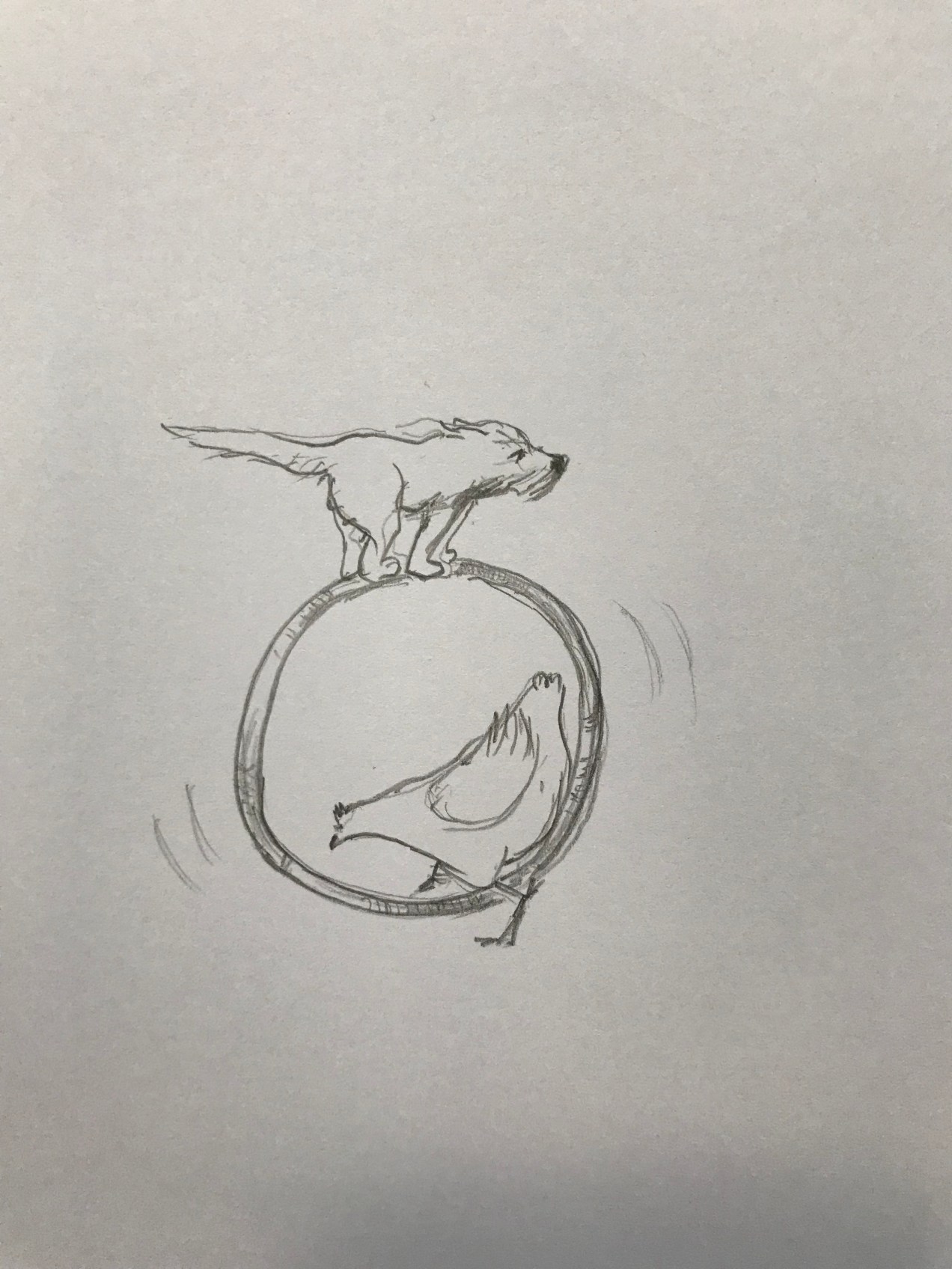 6F5C422C-0CFC-40A2-A16C-3E3E6A99C453