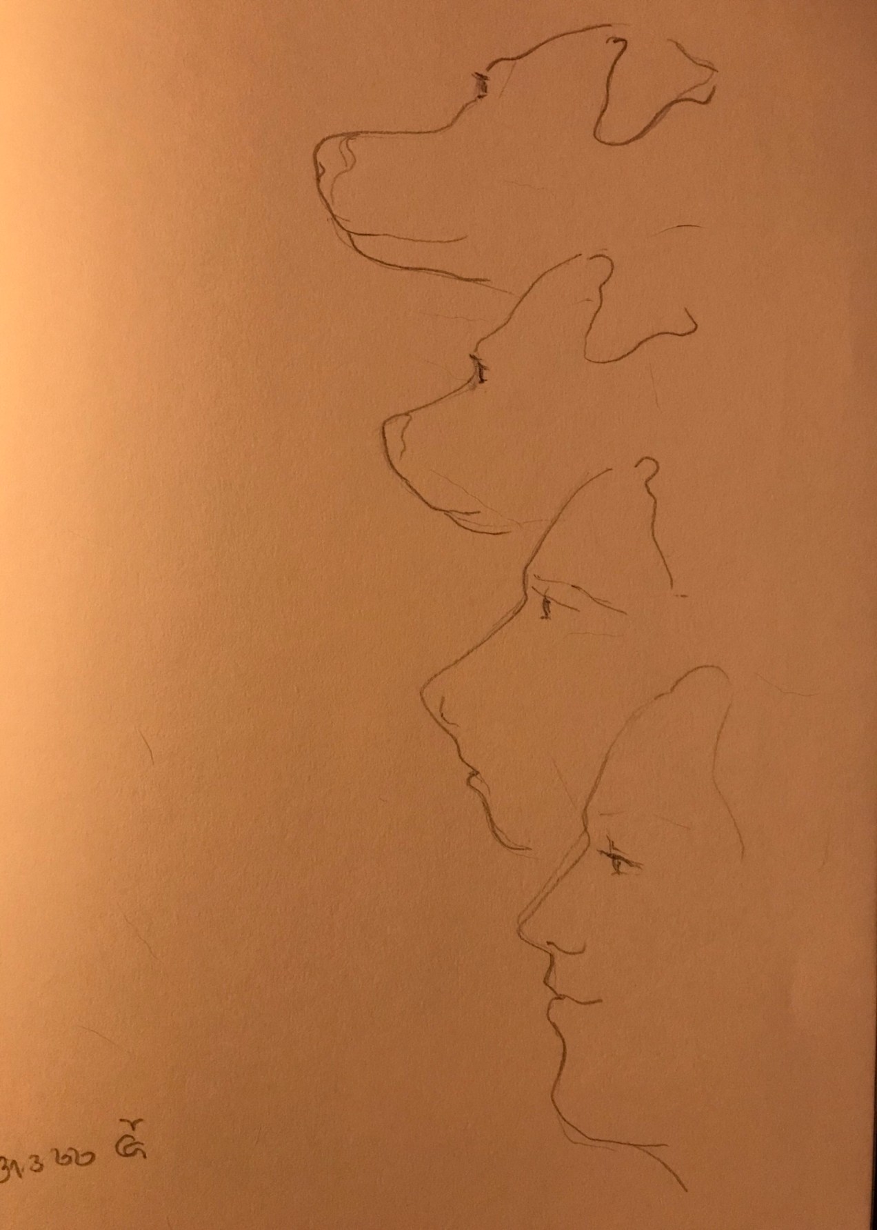 1343BF6F-725F-4550-90CF-9A6DA614106B