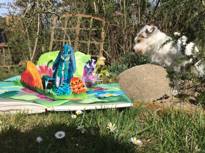 01D962A1-B5C4-44FA-945E-668DA2C46360