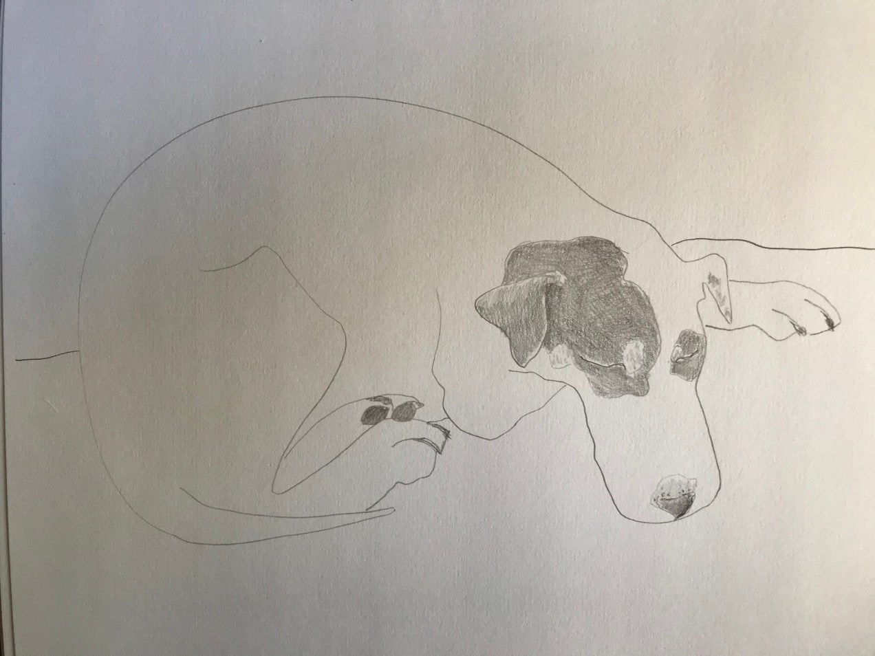 5380EF25-CBB3-40D5-B3A7-71B2277A62FC