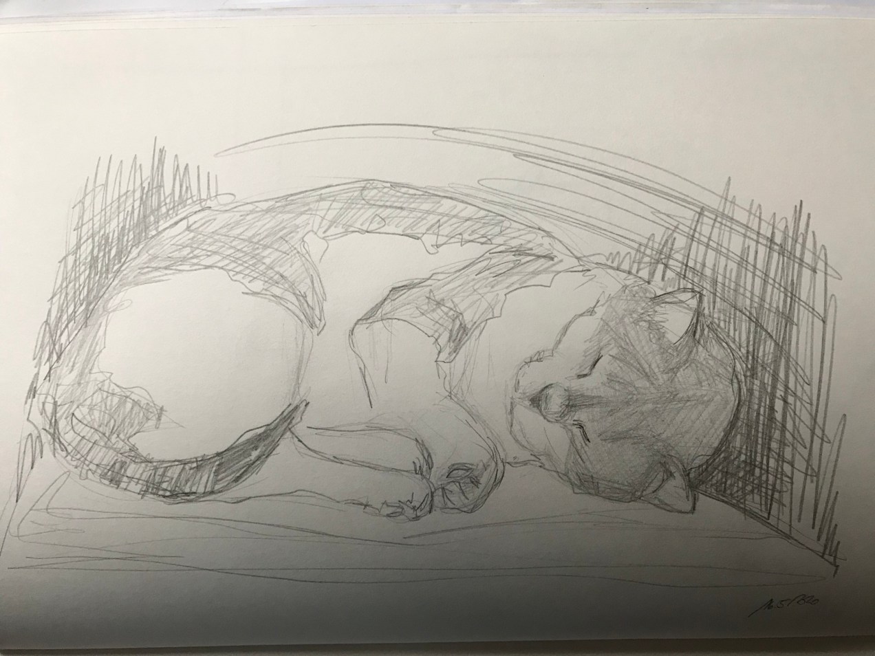 D88C7DFE-FCF3-4BC6-A1EC-B9E727452EC4