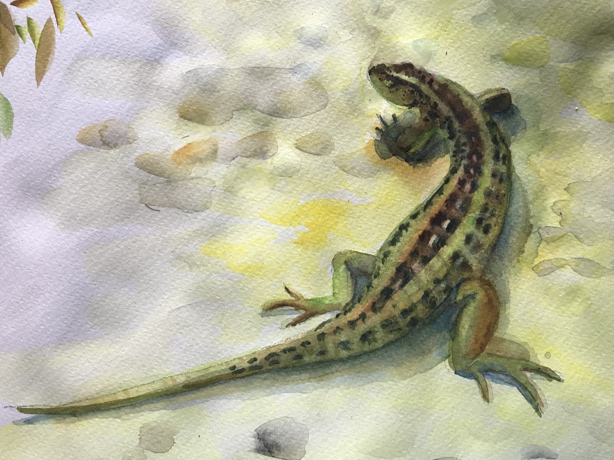 14DF46CE-BA1B-4A55-A522-875927AA0810