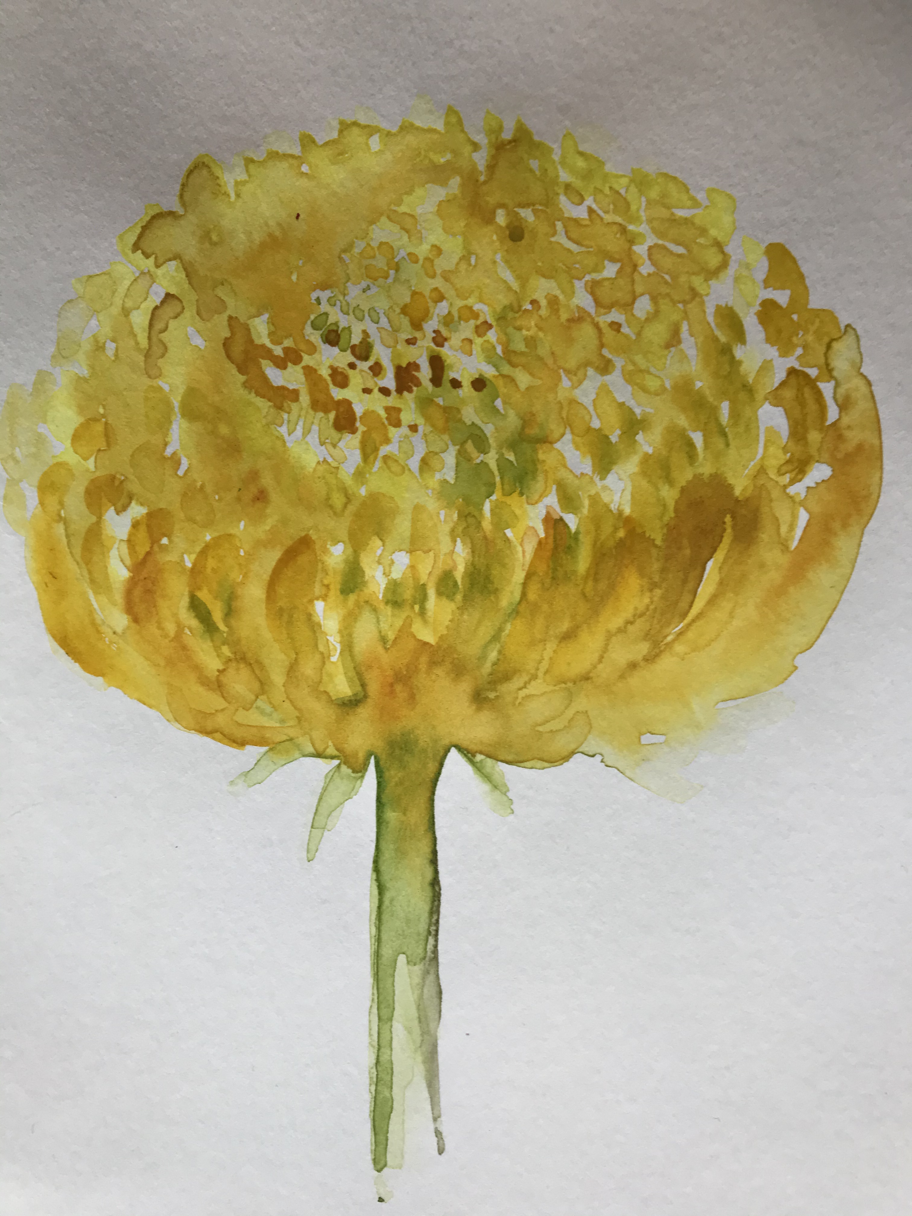 17DE9F1C-6406-45AF-8AB0-1CBEF02E045E