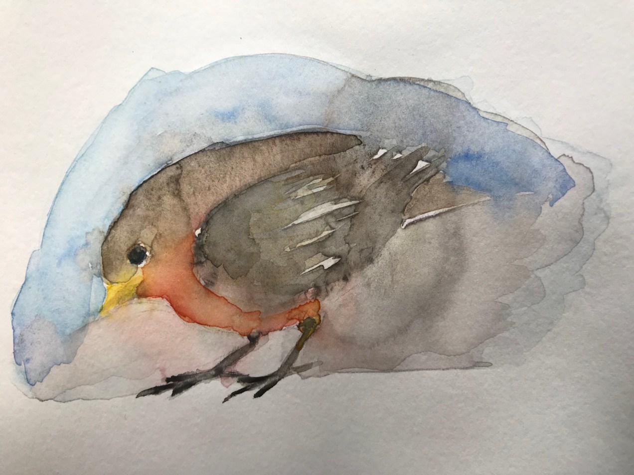 F5DAD25E-89BD-4AA2-BF13-D108CA8ED1CD